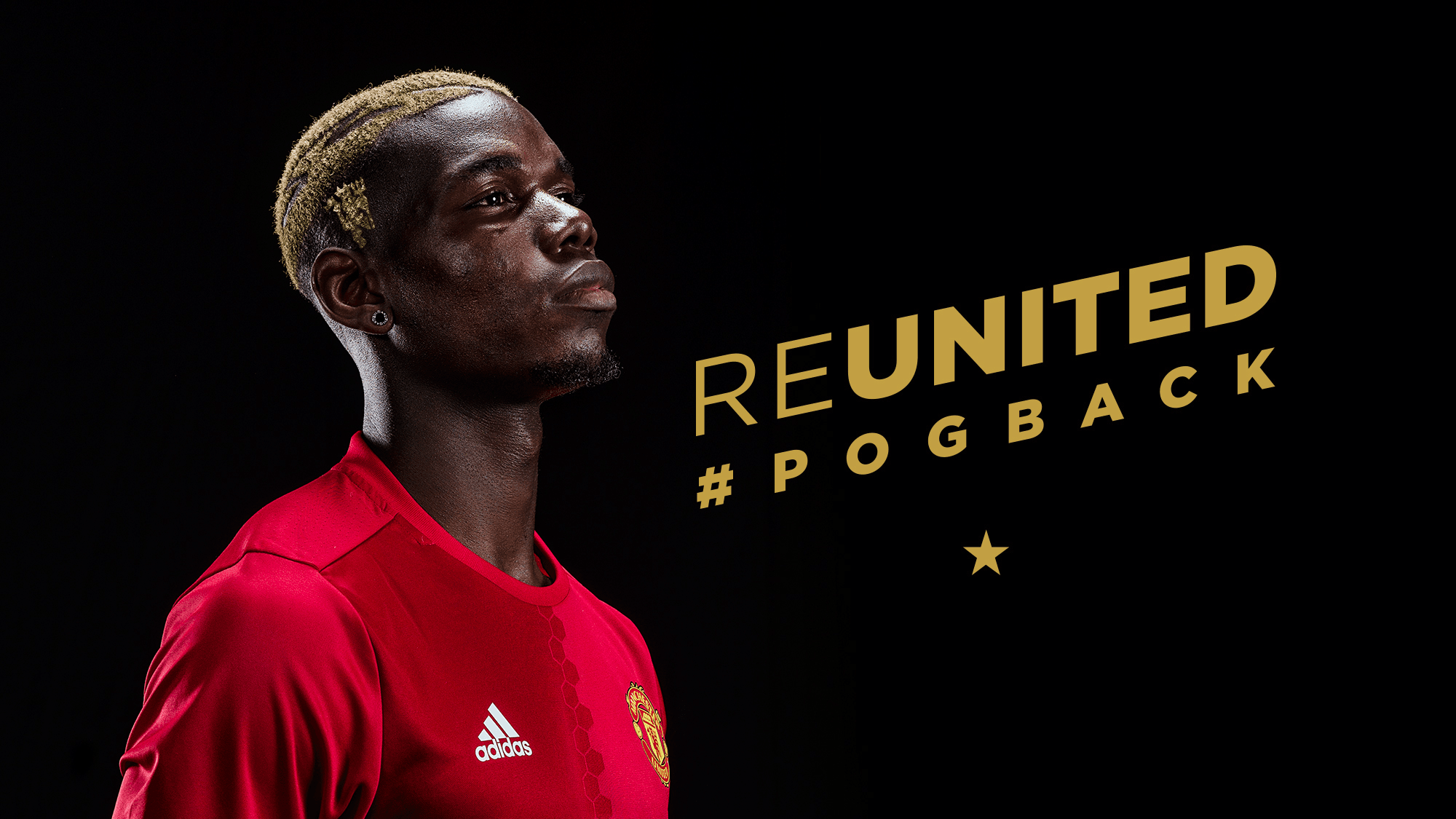 Pogback - feature image